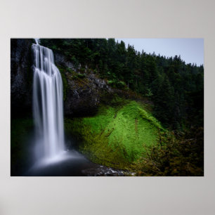 Poster Forêt de cascade