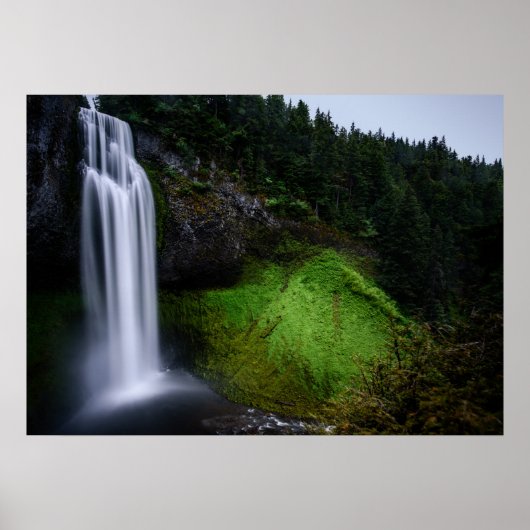 Poster Forêt de cascade (Devant)