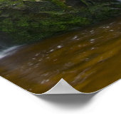 Poster Forêt de chutes d'eau de l'époque (Coin)