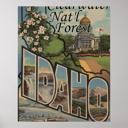 Poster Forêt de Clearwater Nat'l, Idaho (Devant)