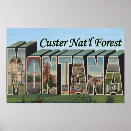 Poster Forêt de Custer Nat'l, Montana (Devant)