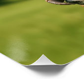 Poster Forêt de drones de Dinosaures mignons Imaginaires (Coin)