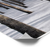 Poster Forêt de fées de neige (Coin)