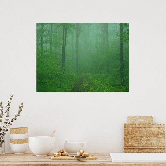 Poster Forêt de Foggy (Cuisine)