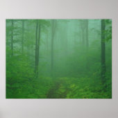 Poster Forêt de Foggy (Devant)