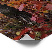 Poster Forêt de hêtre (Coin)