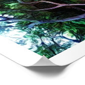 Poster Forêt de la rivière Sacramento (Coin)