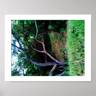 Poster Forêt de la rivière Sacramento