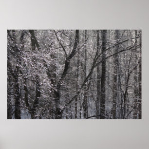 Poster Forêt de l'épaisse glacée dans la lumière du matin
