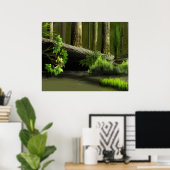 Poster Forêt de Lepidodendron un (Bureau à domicile)