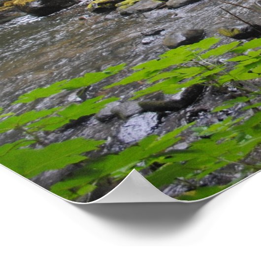 Poster Forêt de l'Oregon (Coin)