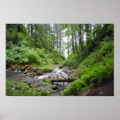 Poster Forêt de l'Oregon (Devant)