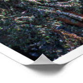 Poster Forêt de montagne enneigée | Hiver Sierra (Coin)