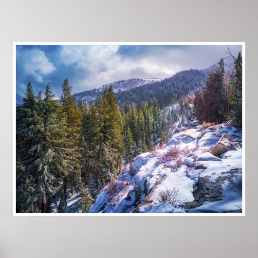 Poster Forêt de montagne enneigée | Hiver Sierra (Devant)
