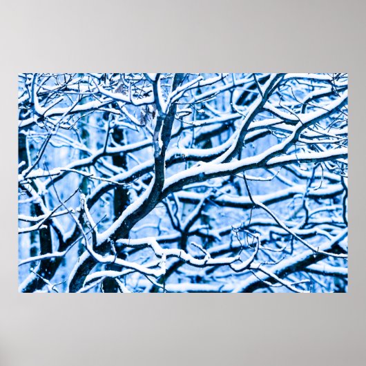 Poster Forêt de Noël (Devant)