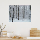 Poster Forêt de peupliers blanche enneigée (Cuisine)