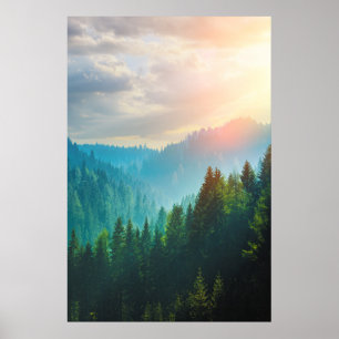 Poster Forêt de pin dans les dolomites, Italie