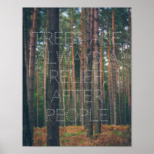 Poster Forêt de pins