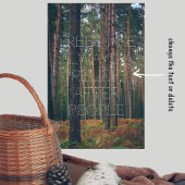 Poster Forêt de pins