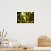 Poster Forêt de pins avec soleil (Cuisine)