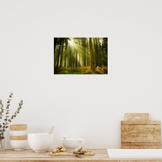 Poster Forêt de pins avec soleil (Cuisine)
