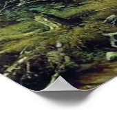 Poster Forêt de pins dans la province de Viatka (Coin)