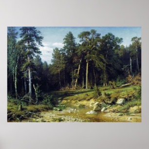 Poster Forêt de pins dans la province de Viatka