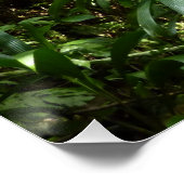 Poster Forêt de pluie dominicaine I Nature verte tropical (Coin)