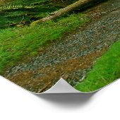 Poster Forêt de pluie Hoh - Parc national olympique (Coin)