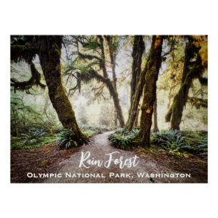 Poster Forêt de pluie ・ Parc national olympique, Washingt