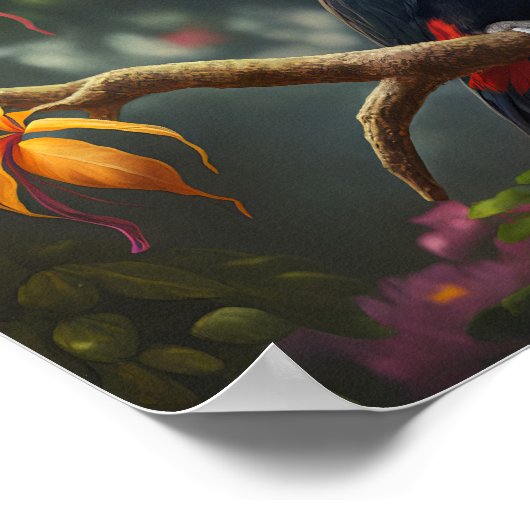 Poster Forêt de pluie Toucan (Coin)