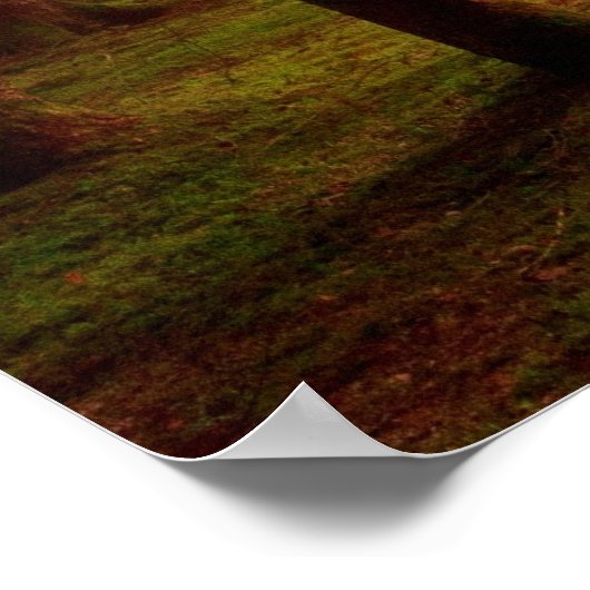 Poster Forêt de rayon (Coin)