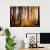 Poster Forêt de rayon (Bureau à domicile)