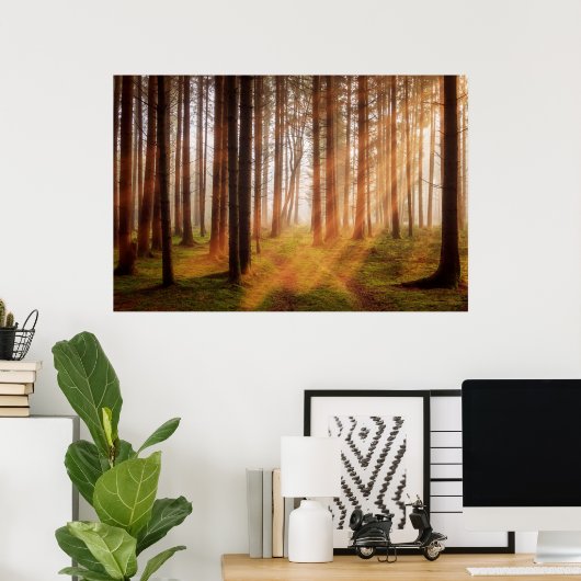 Poster Forêt de rayon (Bureau à domicile)