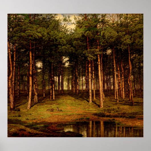 Poster Forêt de sapin à Putte avec lapins Jean Lamorinièr (Devant)