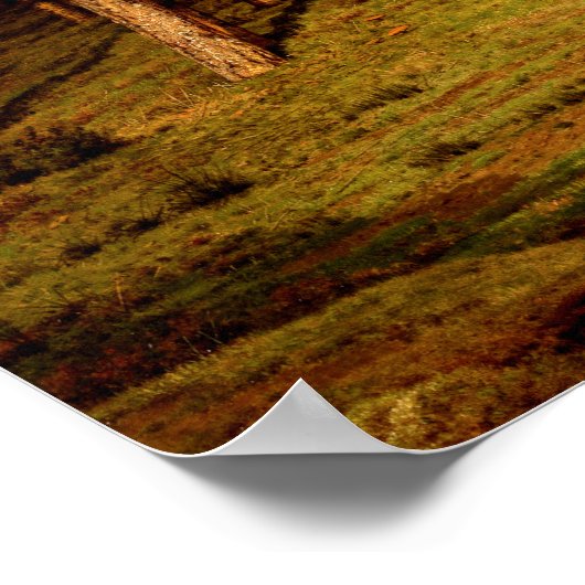 Poster Forêt de sapin à Putte avec lapins Jean Lamorinièr (Coin)