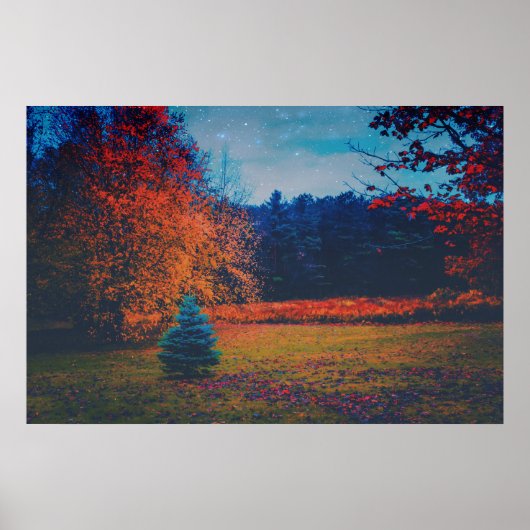 Poster Forêt de sapin d'automne coloré (Devant)