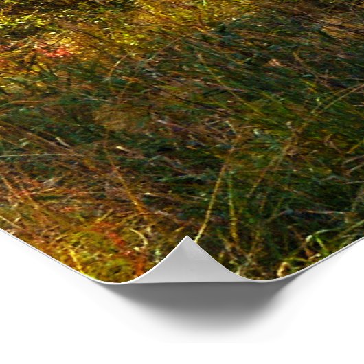 Poster Forêt de septembre (Coin)