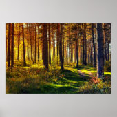 Poster Forêt de septembre (Devant)