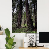 Poster Forêt de séquoias (Bureau à domicile)
