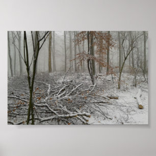 Poster Forêt de Snowy