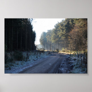 Poster Forêt de Tentsmuir