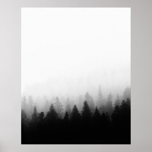 Poster Forêt d'épinette dans le brouillard (Devant)