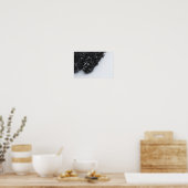 Poster Forêt d'épinette noire et blanche et neige (Cuisine)