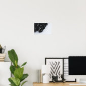 Poster Forêt d'épinette noire et blanche et neige (Bureau à domicile)