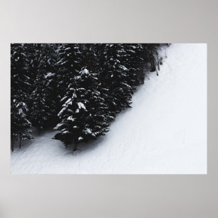Poster Forêt d'épinette noire et blanche et neige