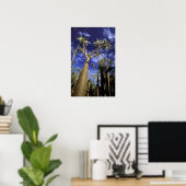 Poster Forêt D'Épineux Formée De Pachypodium (Bureau à domicile)