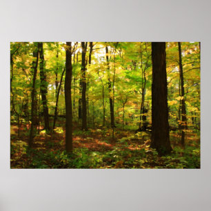 Poster "Forêt d'érable "