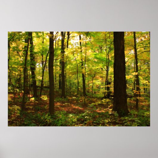 Poster "Forêt d'érable" (Devant)