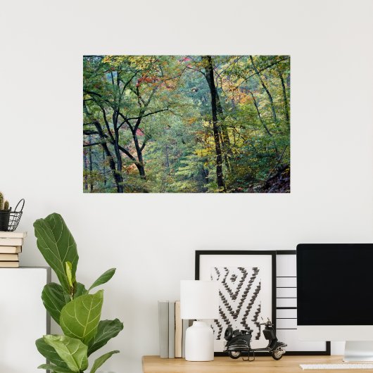 Poster Forêt d'été avec des touches d'automne (Bureau à domicile)